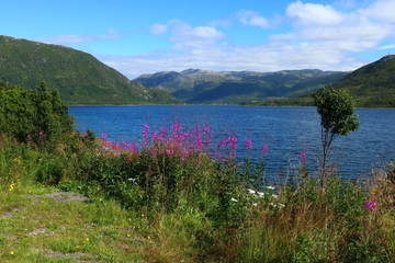 Auf den Lofoten