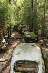 Stau im Wald