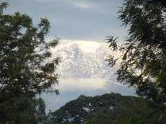 Kilimanjaro