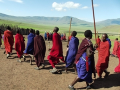 Massai