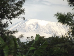 Kilimanjaro