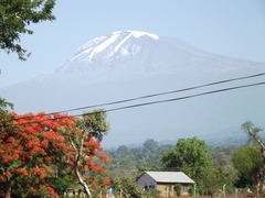 Kilimanjaro
