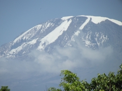 Kilimanjaro