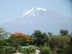 Kilimanjaro