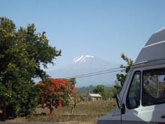 Kilimanjaro