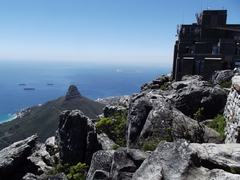 Auf dem Tafelberg