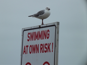 Swakopmund