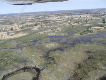 Das Okavango-Delta von oben