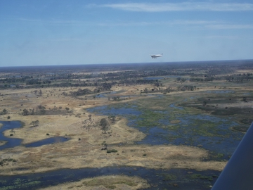Das Okavango-Delta von oben