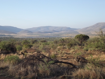 Pilanesberg Nationalpark
