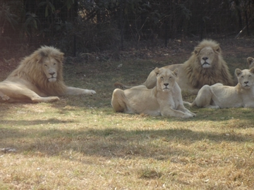 Familienbild